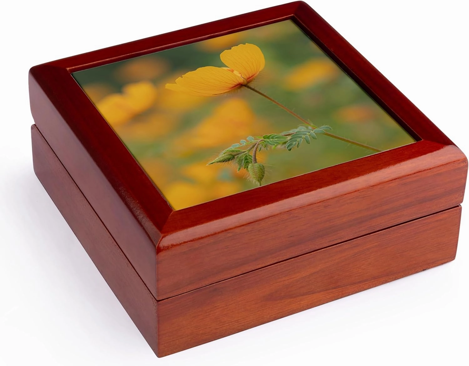 3dRose, Rain poppies, summer poppy, Town of Patagonia, Arizona, Jewelry Box 5.5x5.5 inch with 4 inch tile
