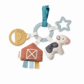 *Itzy Ritzy Bitzy Busy Ring Teething Activity Toy - Farm