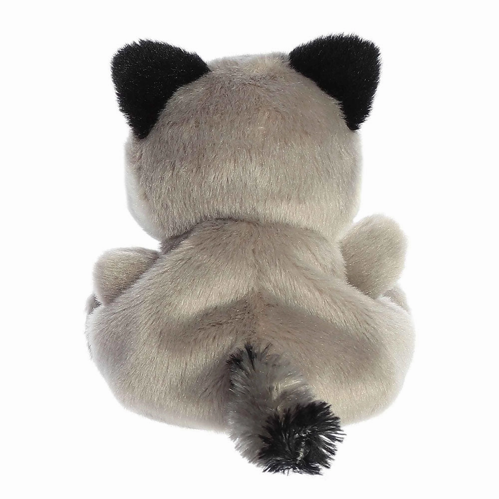 *Palm Pals Rascal Raccoon - 5"