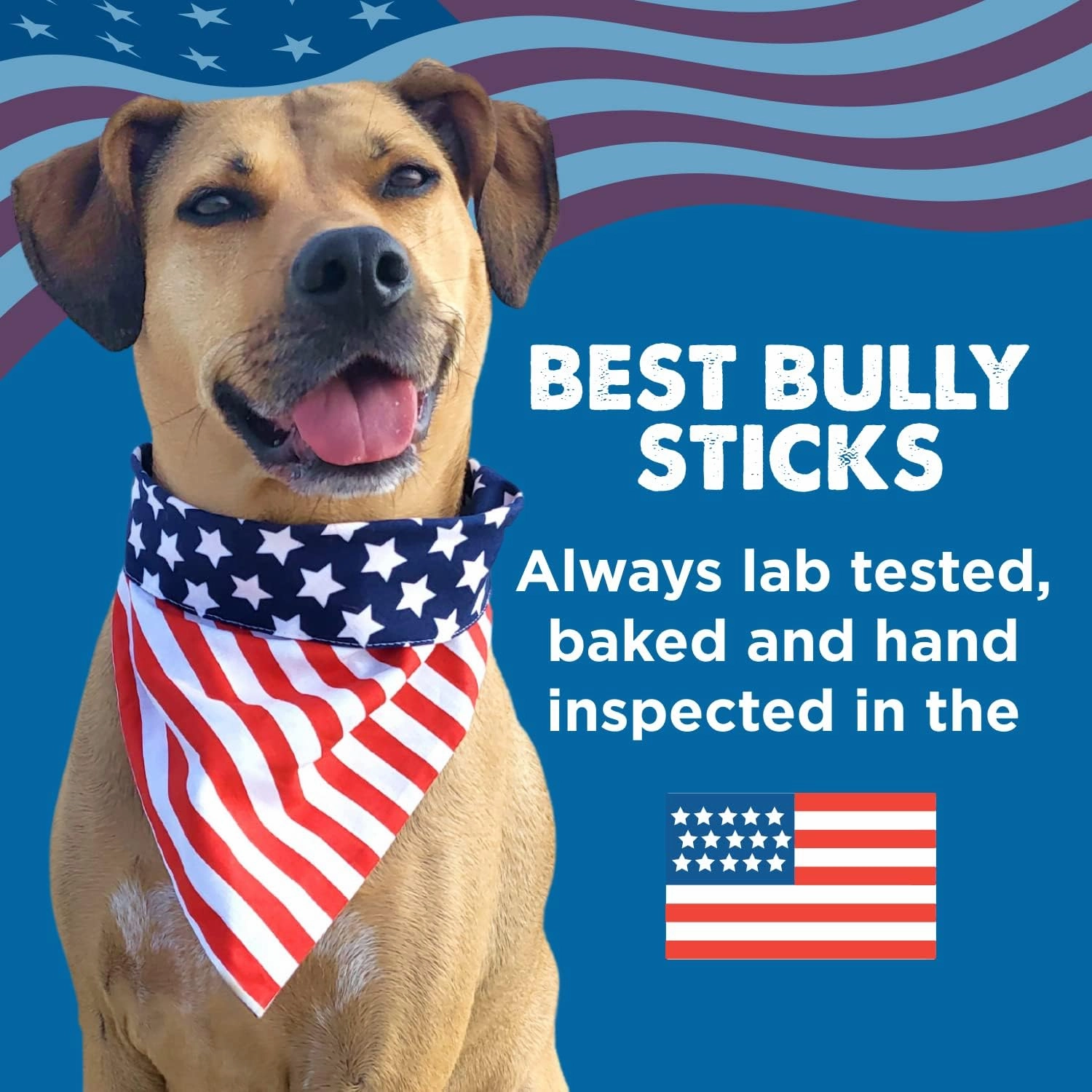 Best Bully Sticks Thick Ring Collagen Chews for Dogs - 10 Count (Pack of 1) - All-Natural, Easily Digestible, Limited Ingredient, Rawhide Alternative, Free-Range Grass-Fed Beef Treat