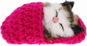 Ciieeo in Slippers Cats Doll Toy Mini Kitten in Shoe with Meows Sounds Sleeping Kitten Toy Decors for Home Table Car Decor Kids (Rosy)