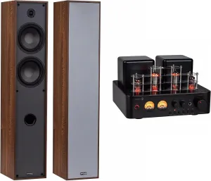 Dayton Audio Floor Standing Stereo System - Wood