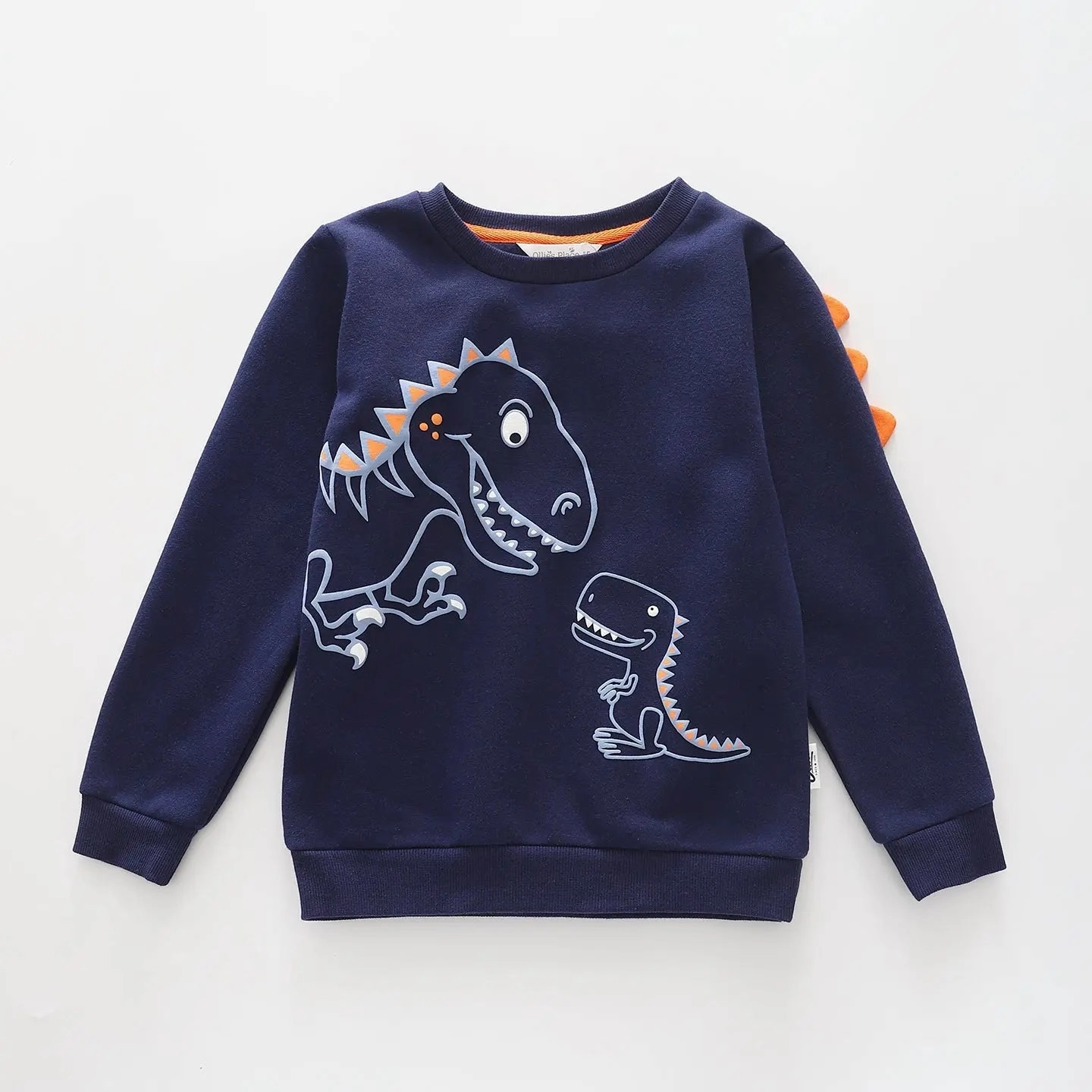 Dino Dudes, Junior Boys Sweat Top