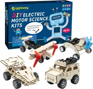 DIY Wood Model Car Building Kits, Electric Motor Woodworking Project Science Kits for Kids, Hands on STEM Learning Project Kits, 3D Puzzles Educational and Learning Toys for Boys & Girls