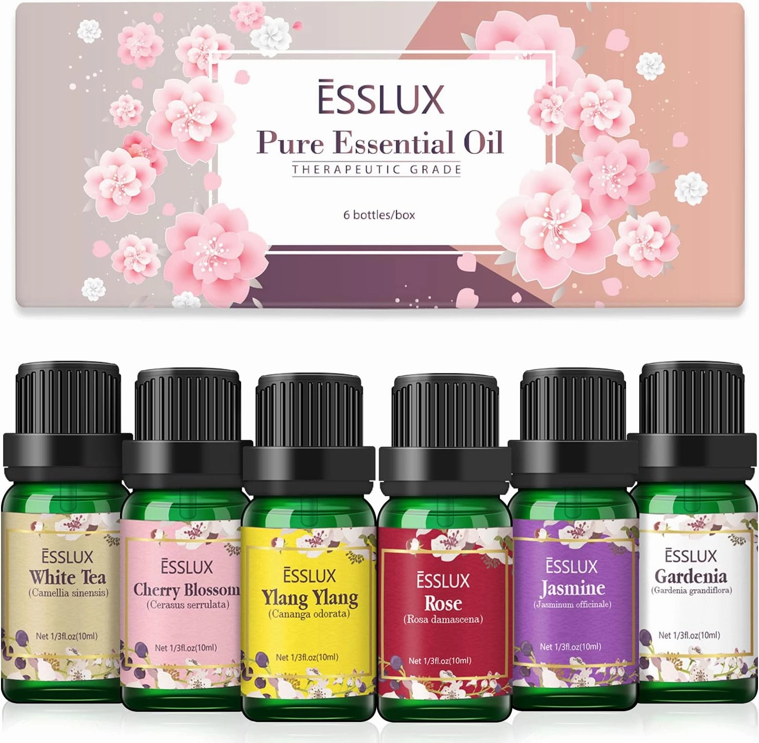 Essential Oils Set, ESSLUX Floral Essential Oils for Diffuser, Massage & Candle Making, Natural & Long-Lasting Scents - Rose, Jasmine, Gardenia, Ylang-Ylang, White Tea, Cherry Blossom, 6 * 10ml