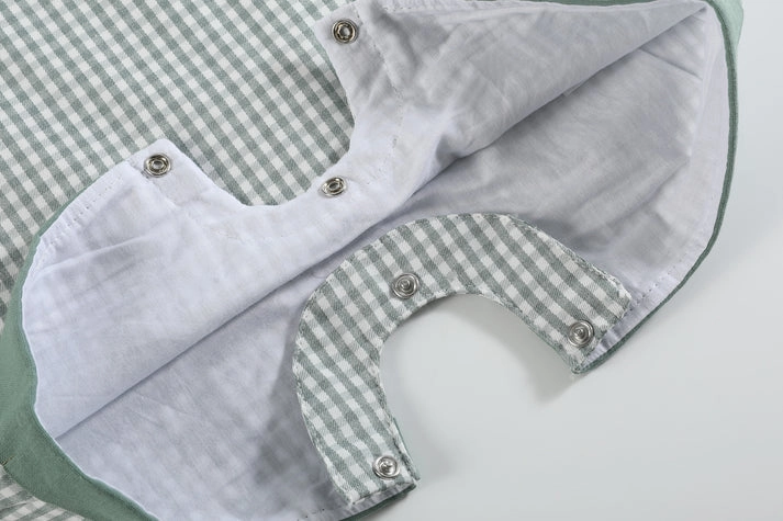 Green Gingham Dinosaur Smocked Shortalls