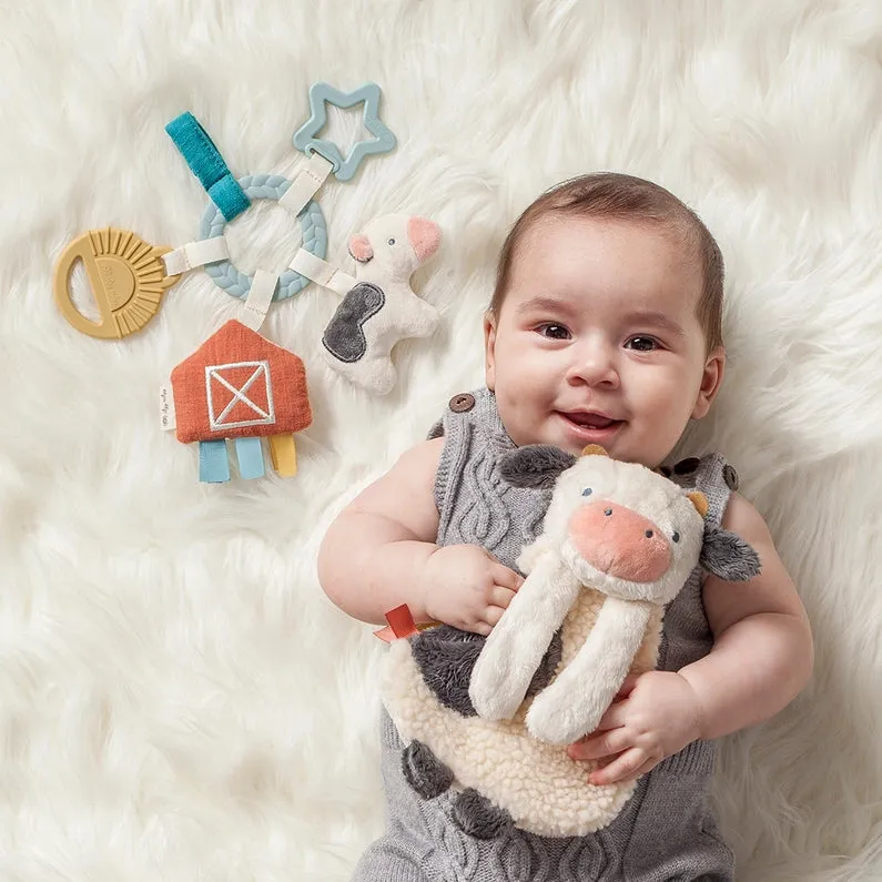 Itzy Ritzy Bitzy Busy Ring Teething Activity Toy