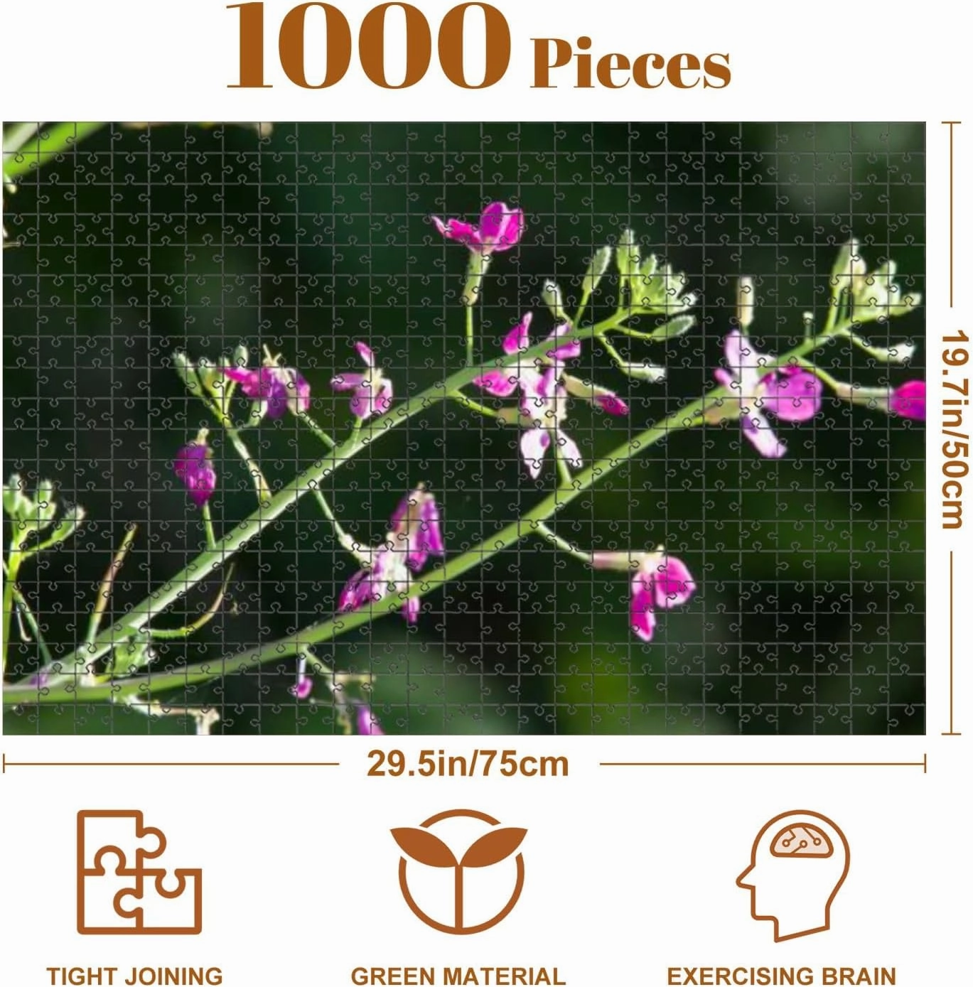 Jigsaw Puzzles 1000 Pieces for Adult Riverfront Regional Park Two Beautiful Lakes for Fishing Kayaking Puzzle Game for Family Wooden Puzzle Toy Educational Games Puzzles for Home Decor