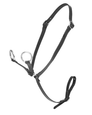 LeMieux Toy Pony Martingale