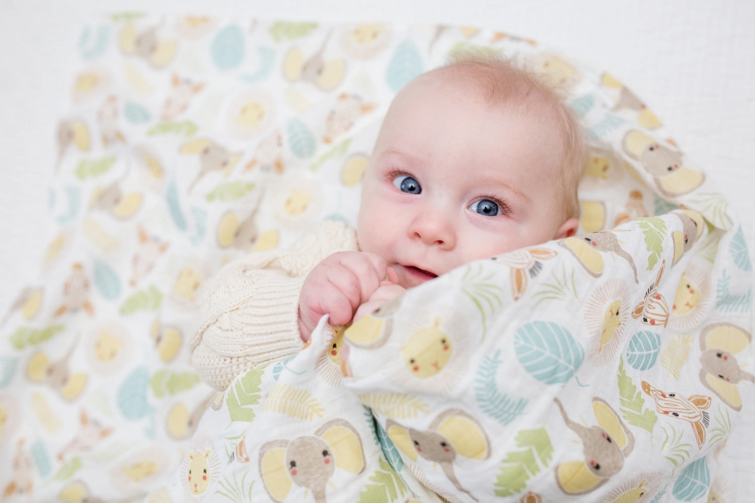 Lulujo Jungle Swaddle - 47x47"