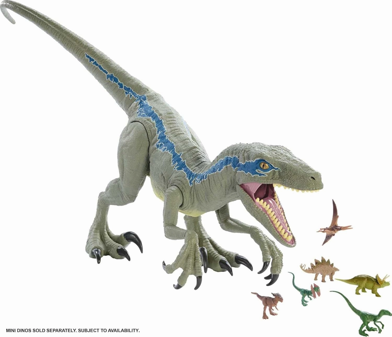 Mattel Jurassic World Super Colossal Dinosaur Action Figure, Large Velociraptor Blue Dino Toy with Eating Feature, 3.5-ft Long