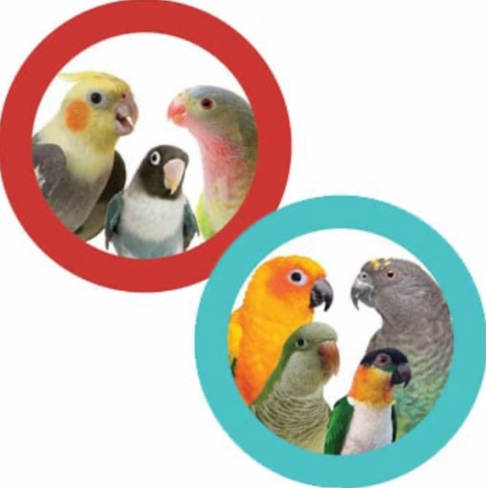 Mini Seagrass Tumbler Bird Foot Toy