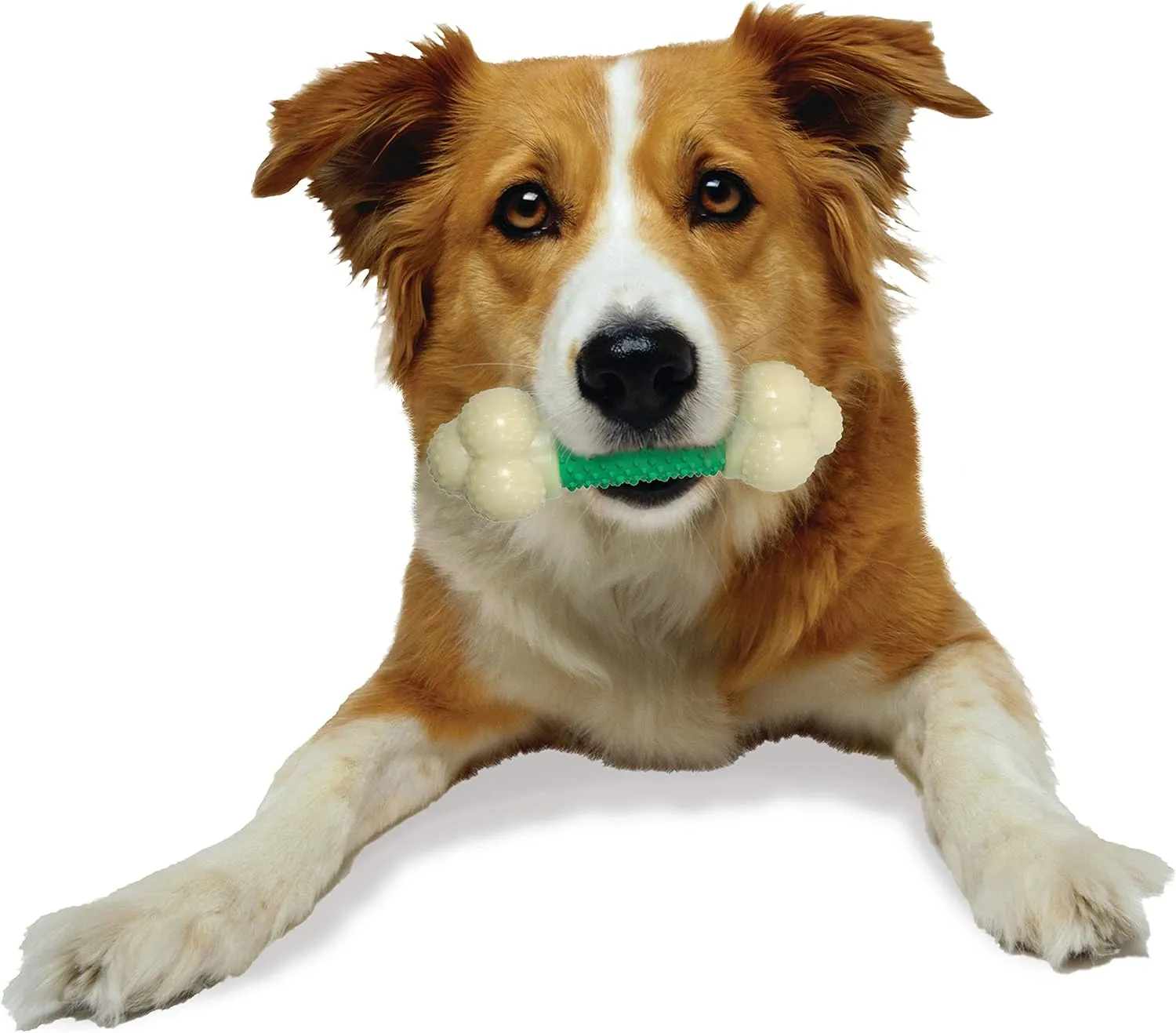 Nylabone Double Action Bone Power Chew Toy for Dogs, Rubber Dog Toys for Moderate & Aggressive Chewers, Bacon Flavor, Medium - Up to 35 lbs, 1 Count