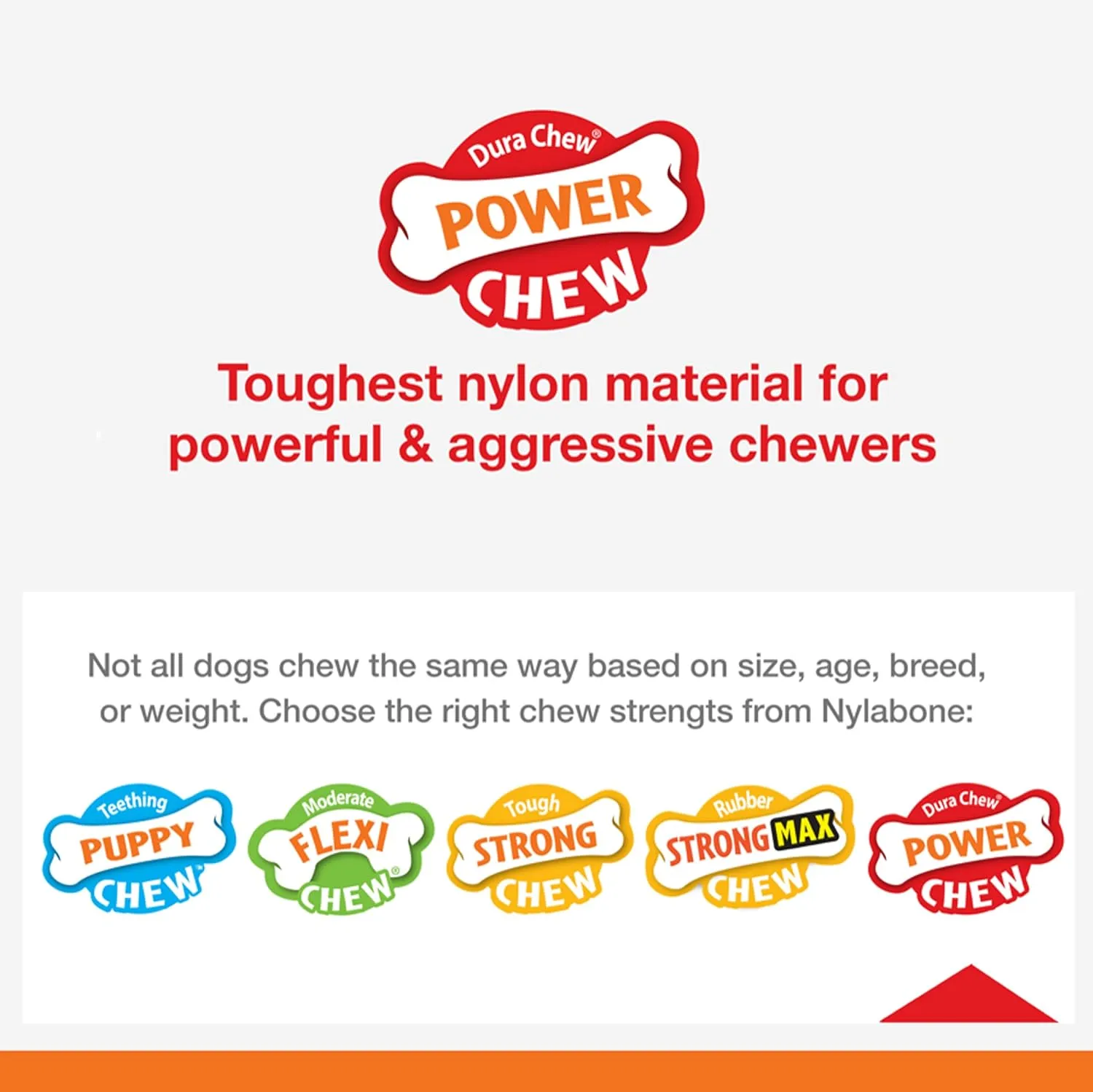 Nylabone Power Chew Shish Kabob Rawhide Alternative Nylon Chew Toy for Dogs, Dog Toys for Aggressive Chewers, Chicken, Large/Giant (1 Count)