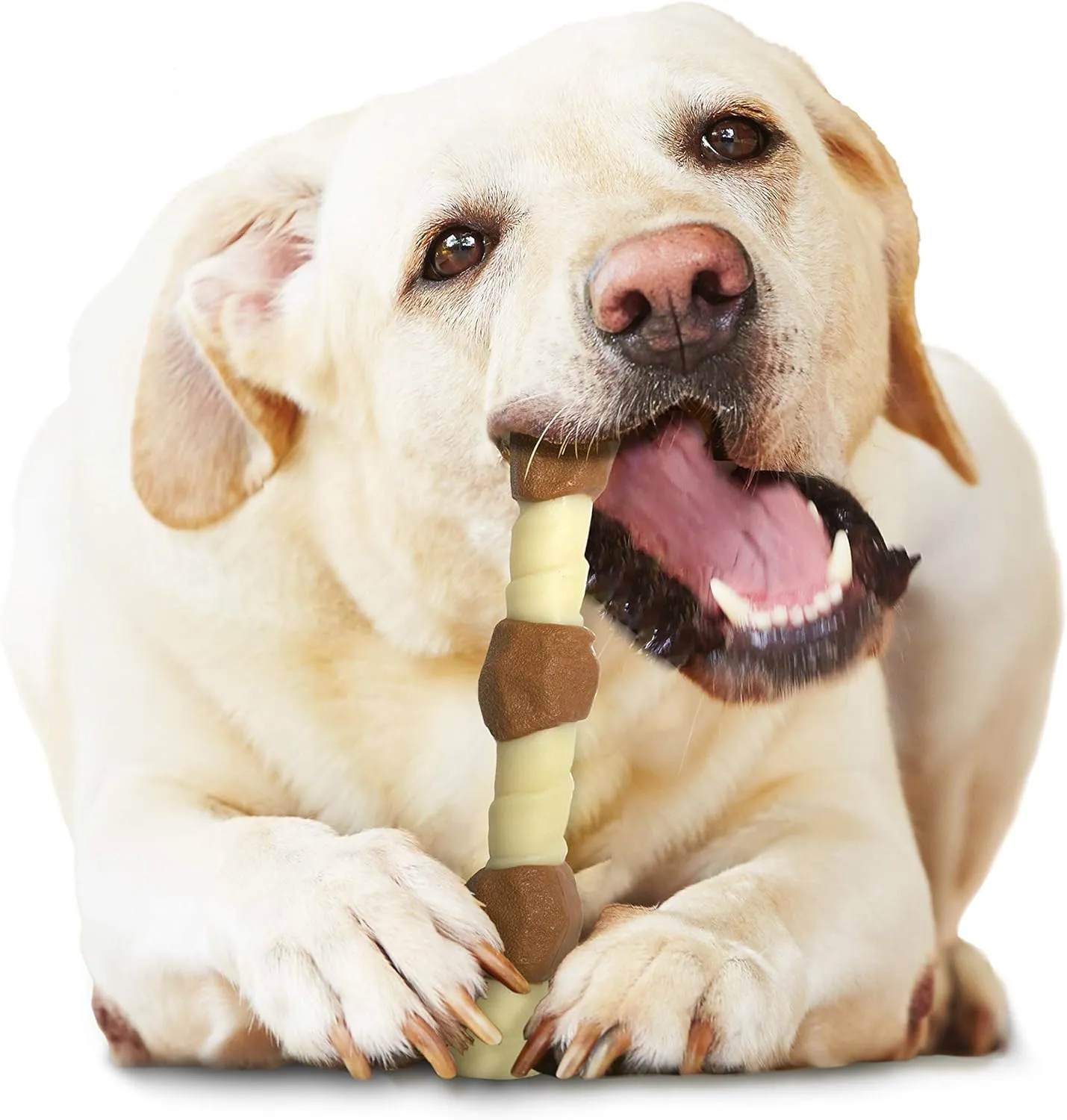Nylabone Power Chew Shish Kabob Rawhide Alternative Nylon Chew Toy for Dogs, Dog Toys for Aggressive Chewers, Chicken, Large/Giant (1 Count)