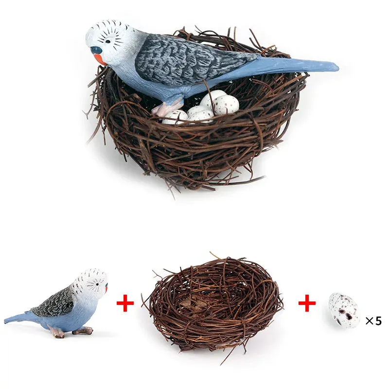 Oenux Classic Bird Animal Flamingos Parrot Sea Mew Peacock Owl Ostrich Model Solid PVC Action Figures Miniature Education Toy