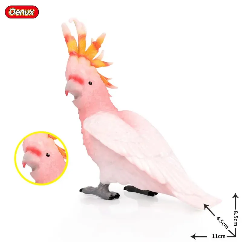 Oenux Classic Bird Animal Flamingos Parrot Sea Mew Peacock Owl Ostrich Model Solid PVC Action Figures Miniature Education Toy