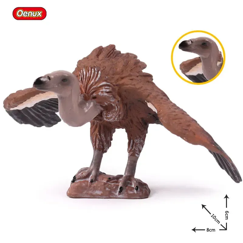 Oenux Classic Bird Animal Flamingos Parrot Sea Mew Peacock Owl Ostrich Model Solid PVC Action Figures Miniature Education Toy