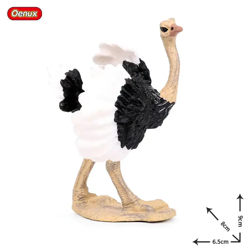Oenux Classic Bird Animal Flamingos Parrot Sea Mew Peacock Owl Ostrich Model Solid PVC Action Figures Miniature Education Toy