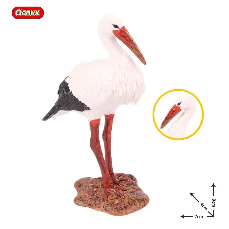 Oenux Classic Bird Animal Flamingos Parrot Sea Mew Peacock Owl Ostrich Model Solid PVC Action Figures Miniature Education Toy