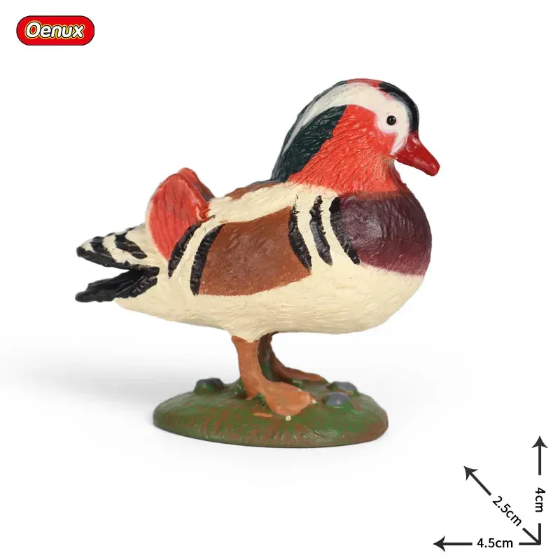 Oenux Classic Bird Animal Flamingos Parrot Sea Mew Peacock Owl Ostrich Model Solid PVC Action Figures Miniature Education Toy