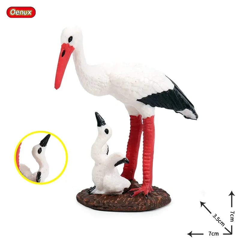 Oenux Classic Bird Animal Flamingos Parrot Sea Mew Peacock Owl Ostrich Model Solid PVC Action Figures Miniature Education Toy