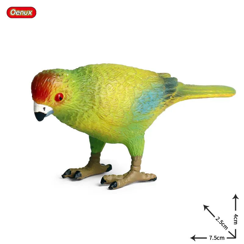 Oenux Classic Bird Animal Flamingos Parrot Sea Mew Peacock Owl Ostrich Model Solid PVC Action Figures Miniature Education Toy