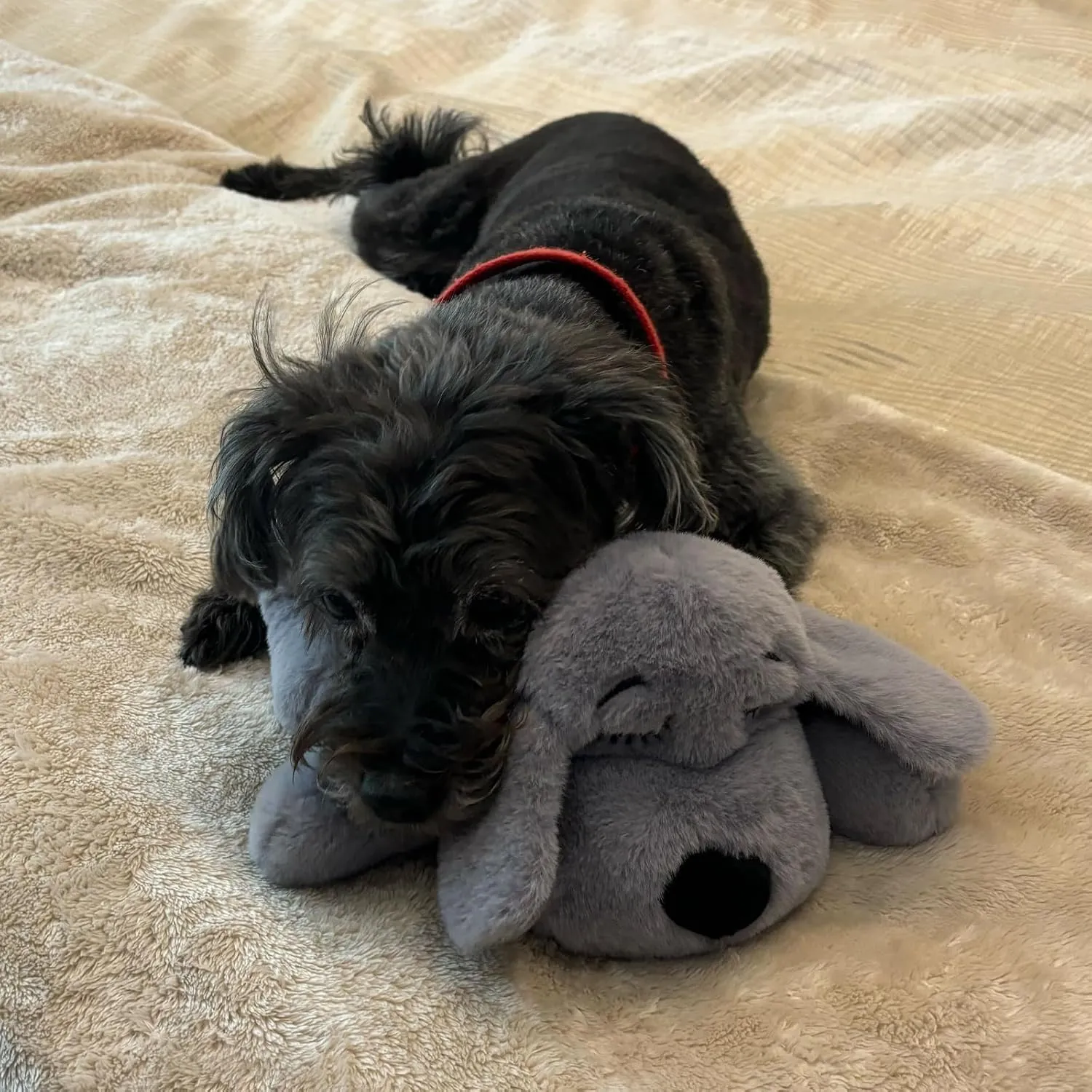 Original Snuggle Puppy Toys - Heartbeat Puppy for Dogs - Pet Anxiety Relief and Calming Aid - Comfort Dog Toys for Behavioral Training