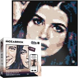 Photo Construction Set Model Color S (20 inch x 20 inch) - Transform Any Picture into a Mosaic Wall Art Using Our Constructor and Web App.