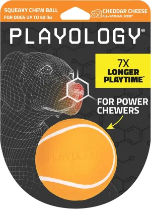 Playology Squeaky Chew Ball for Dogs | Engaging All-Natural Cheddar Cheese Scented Toy for Medium Dogs up to 50lbs | Squeak, Fetch, and Play