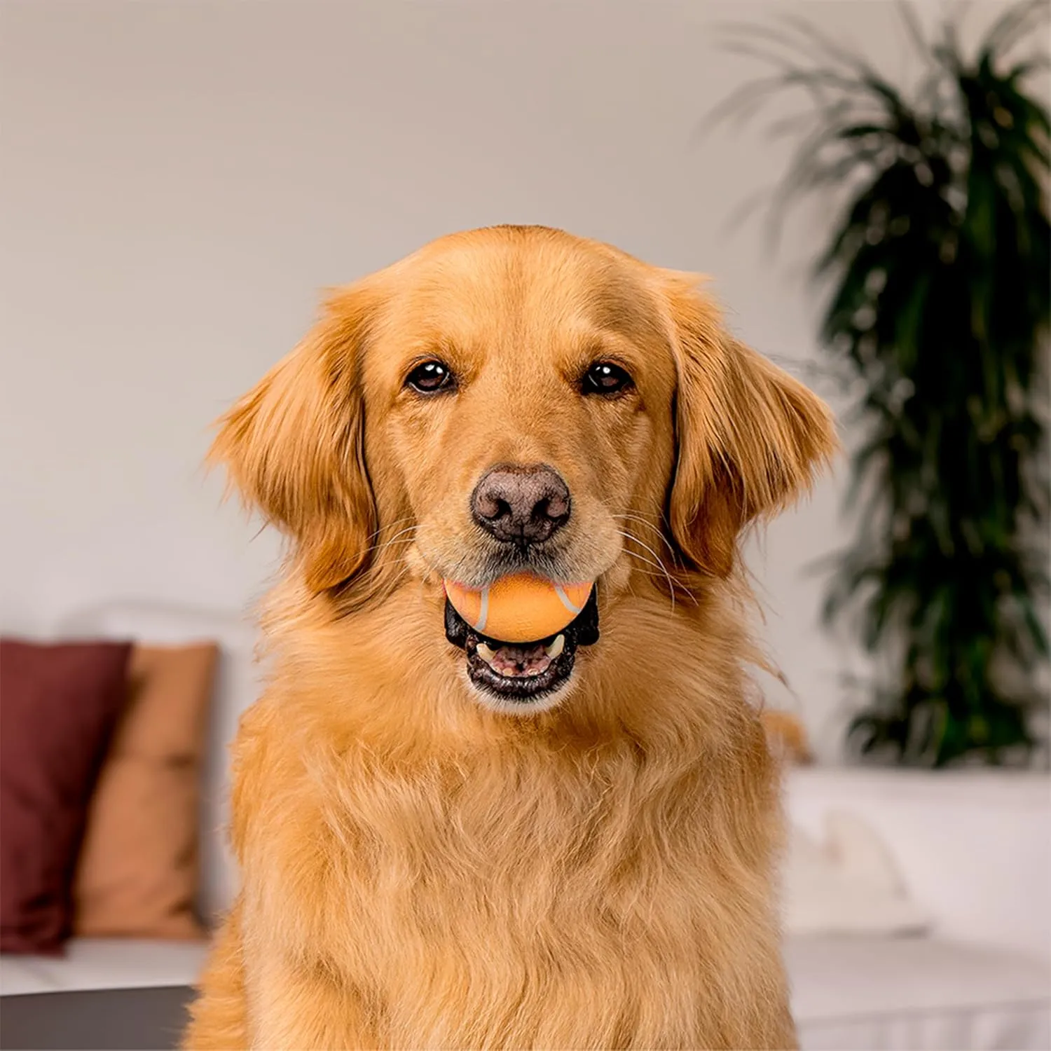 Playology Squeaky Chew Ball for Dogs | Engaging All-Natural Cheddar Cheese Scented Toy for Medium Dogs up to 50lbs | Squeak, Fetch, and Play