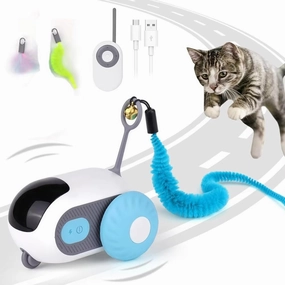 Smart Rolling Cat Toy Car