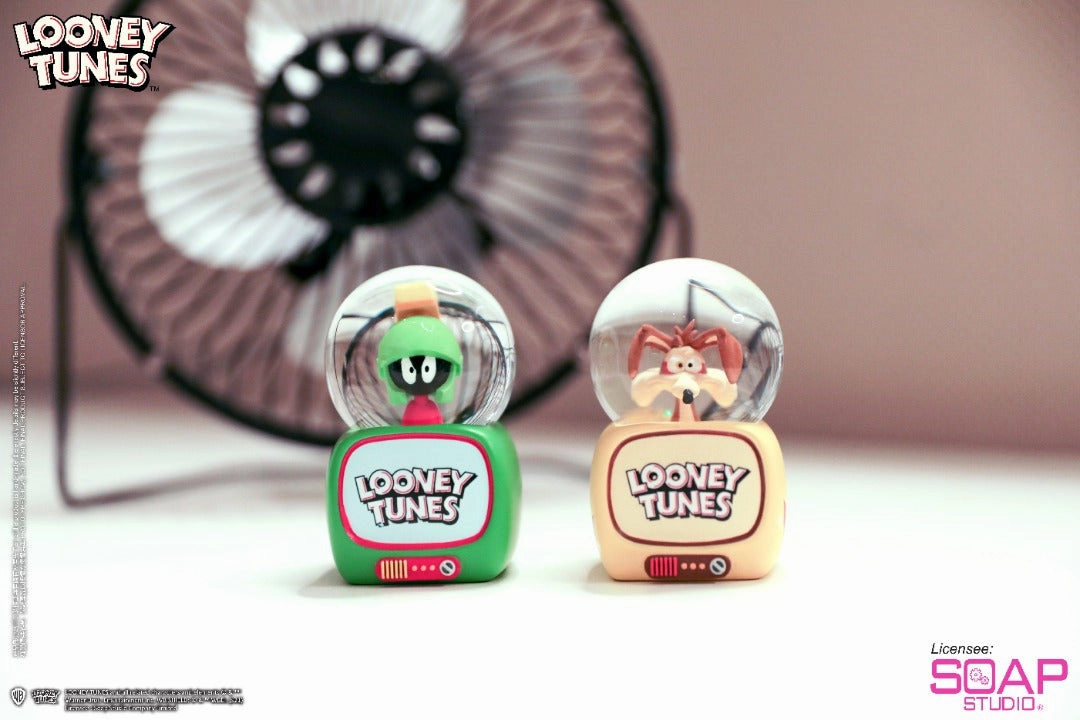 Soap Studio CA802 Warner Brothers Animation: Mini Snow Globe Series (12 Characters)