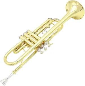 Trumpets for Beginner Brass Trumpet Trumpette Professional Musical Trompeta Wind Instrument With Glove Cloth Strap Case