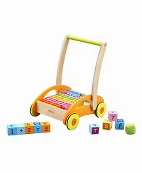 Walker with Blocks (31 Piece Set)