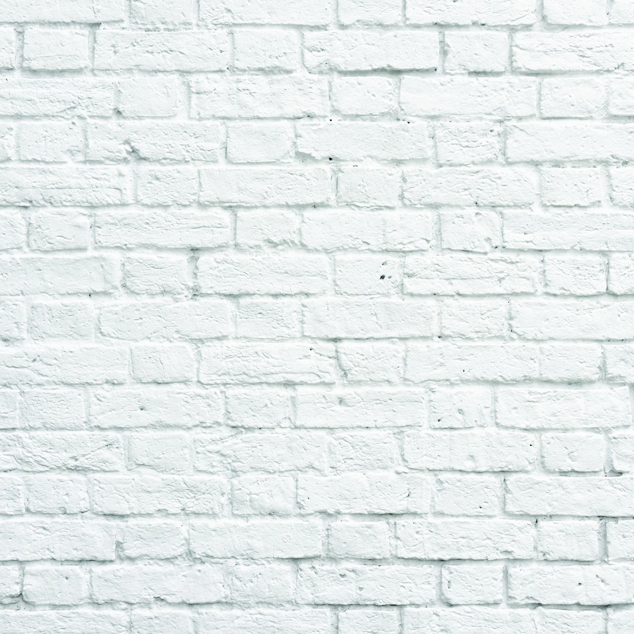 White Bricks Photo Background
