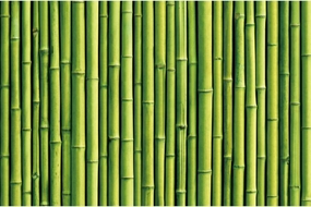 YongFoto Bamboo Wall Backdrop 6x4ft Natural Scenery Jungle Photography Background Tropical Hawaiian Beach Luau Party Room Decor Photo Studio Booth Props Birthday Wedding Baby Shower Banner